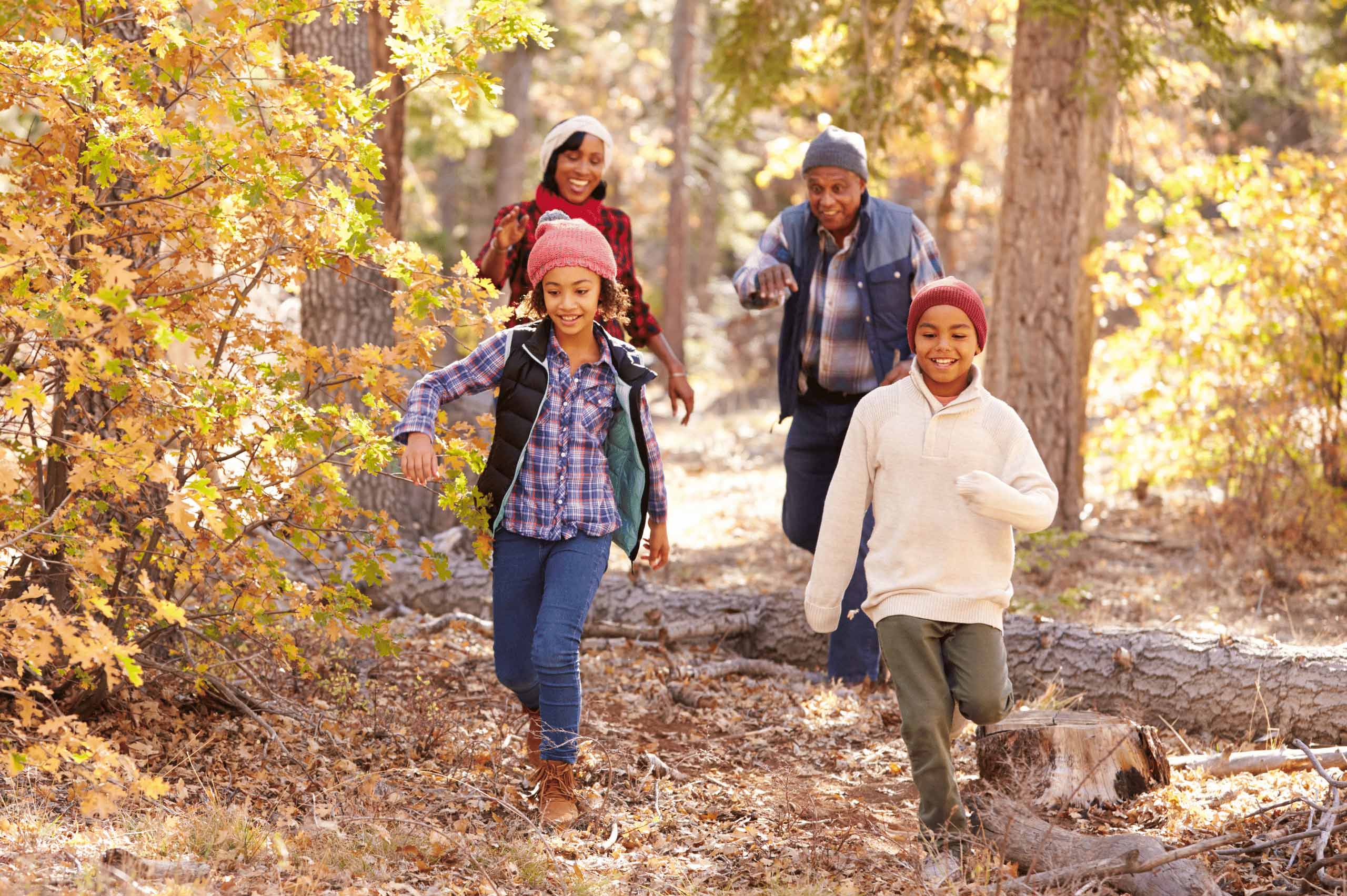 Fall Activities for Seniors and Their Families