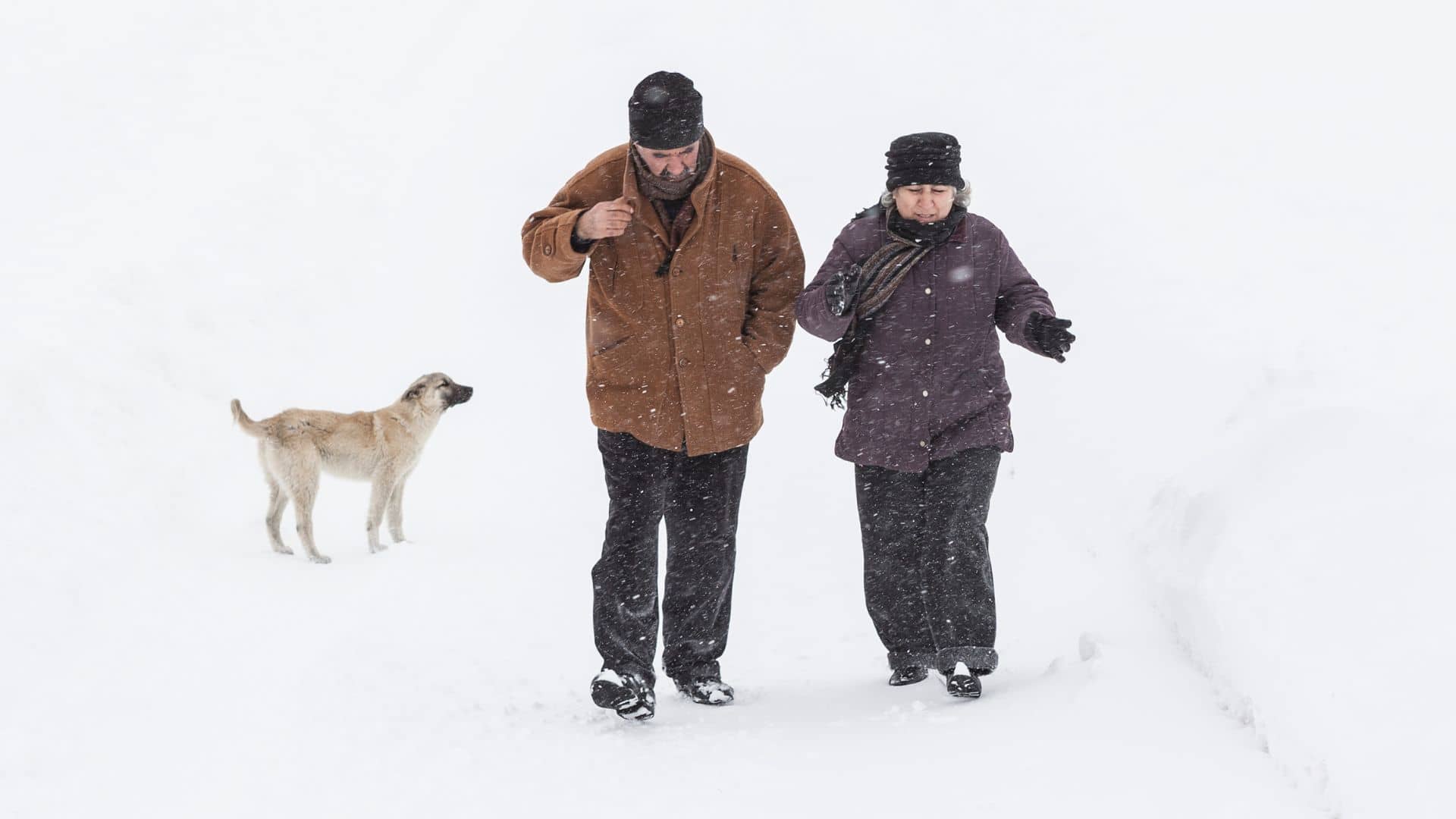 5 Fall Prevention Tips for Seniors