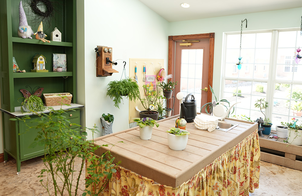 Sunny craft room with plants, gardening tools, and decorative items on shelves.