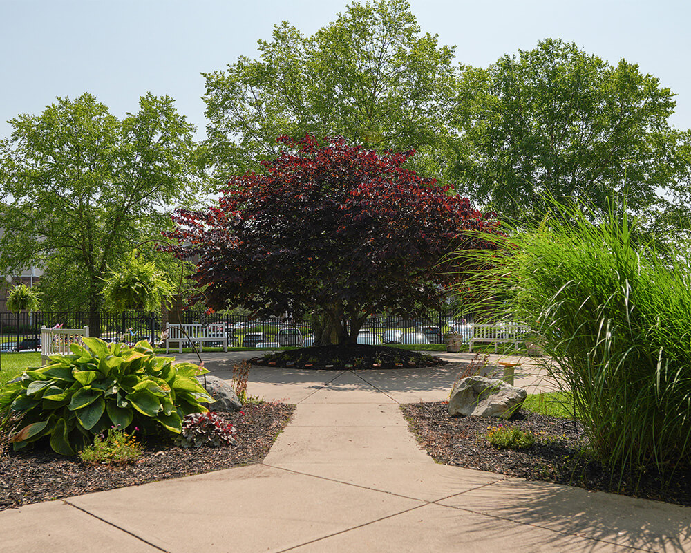 Lush garden path with colorful foliage at senior living community.