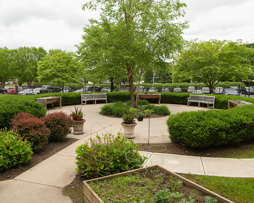 Peaceful outdoor courtyard with benches and lush greenery.
