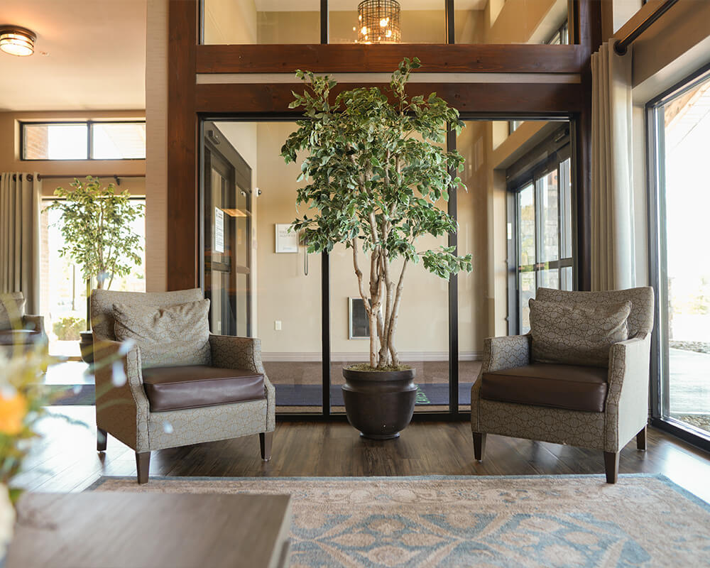 Inviting lobby with two armchairs and potted plant near glass doors.